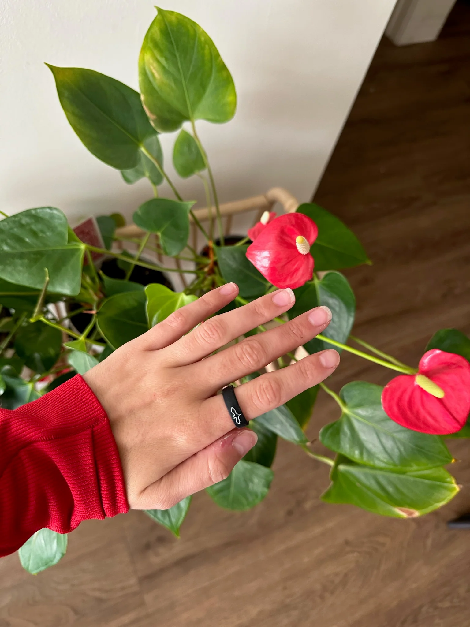 Flip Reversible bat / bite me ring - Image 7