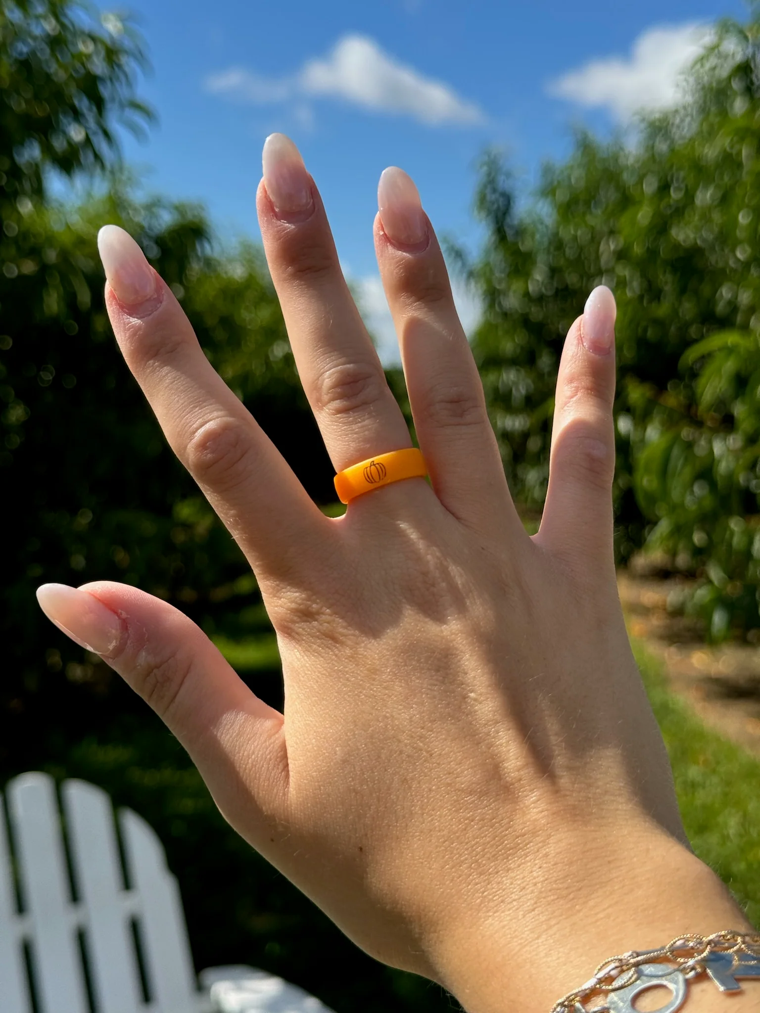 Flip Reversible pumpkin / finally fall - Image 3