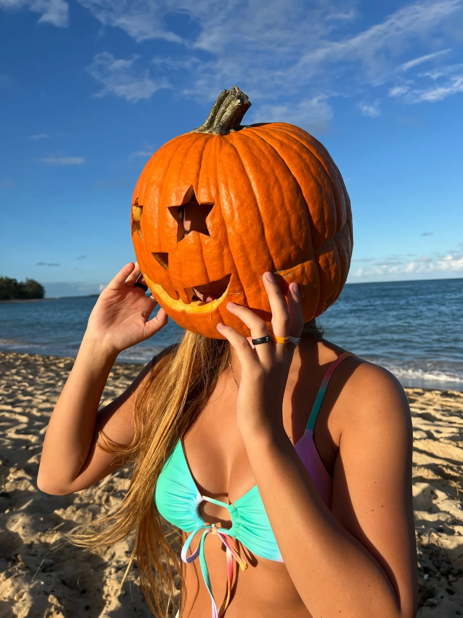 Spooky 8 pack - Image 3